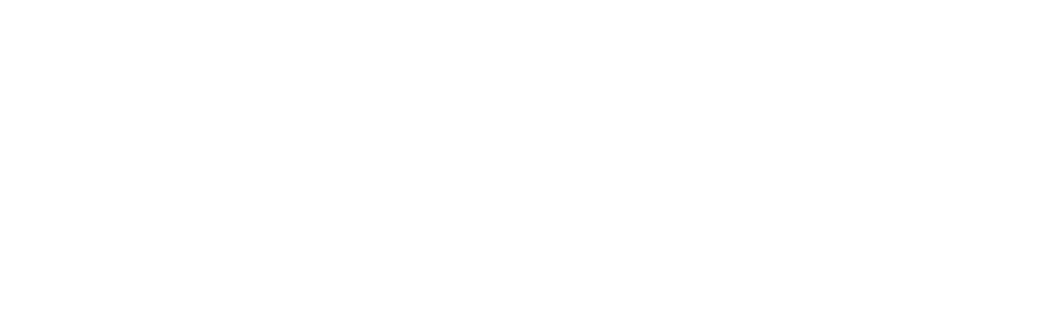 The image is the logo for Starik   Laifer Dental Studio.